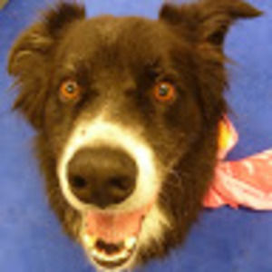 Meet your Posher, Matt